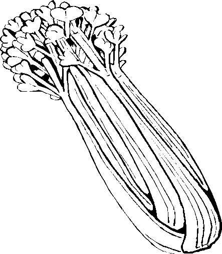 celery clipart black and white