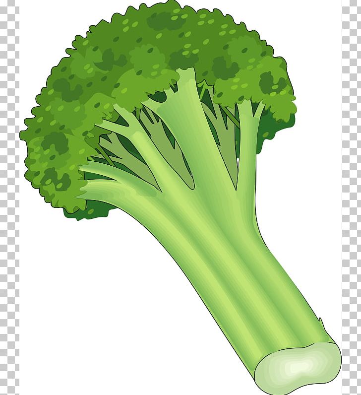 Leaf vegetable carrot fruit. Celery clipart broccoli