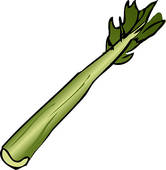celery clipart celery stick