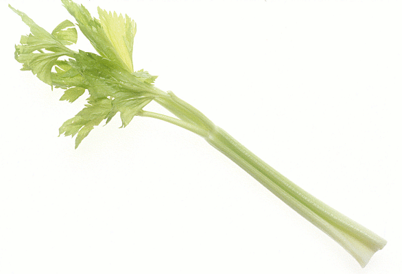 Celery celery stick