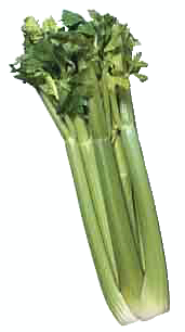 celery clipart clip art