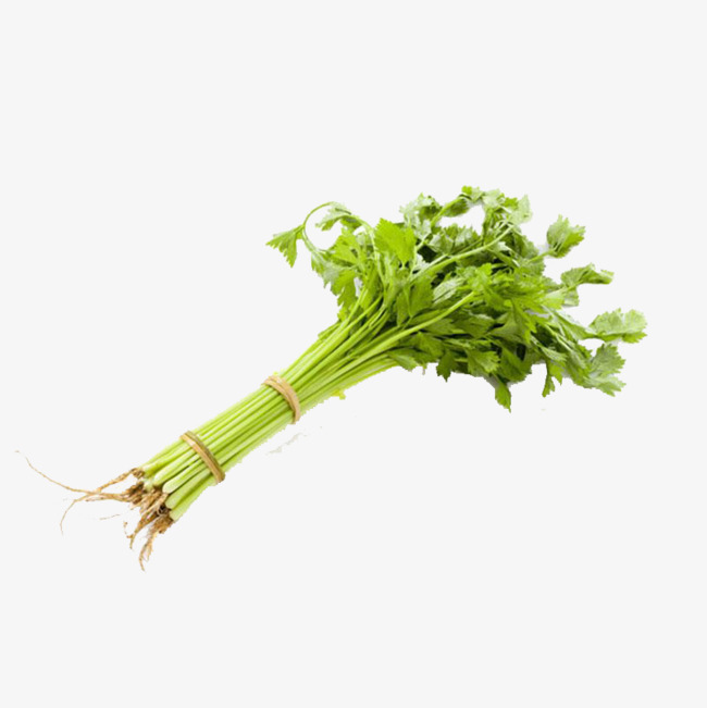 celery clipart single