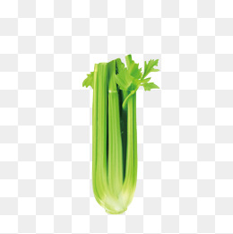 celery clipart single