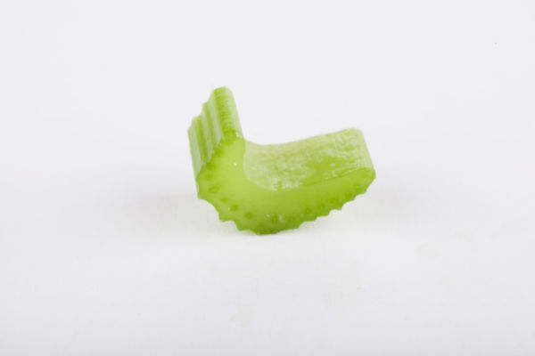 celery clipart slice