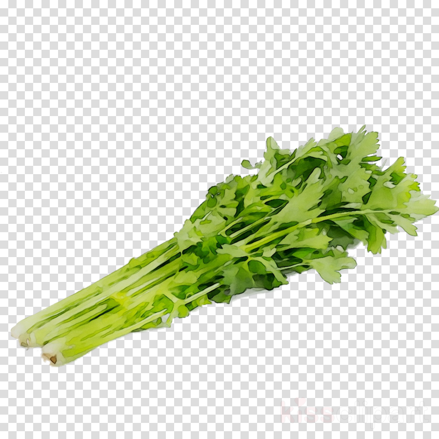 Food background vegetable plant. Celery clipart transparent