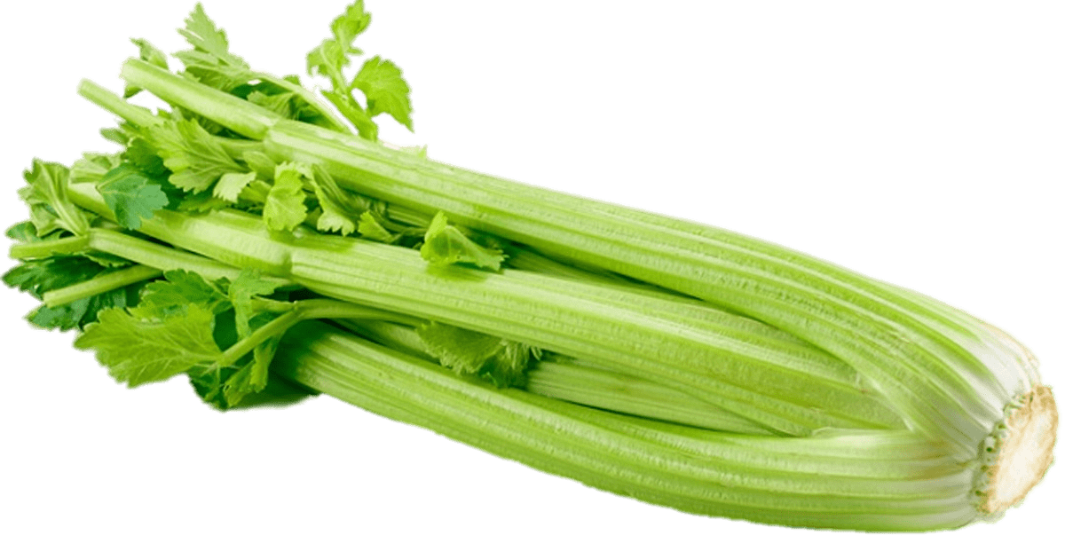 celery clipart transparent