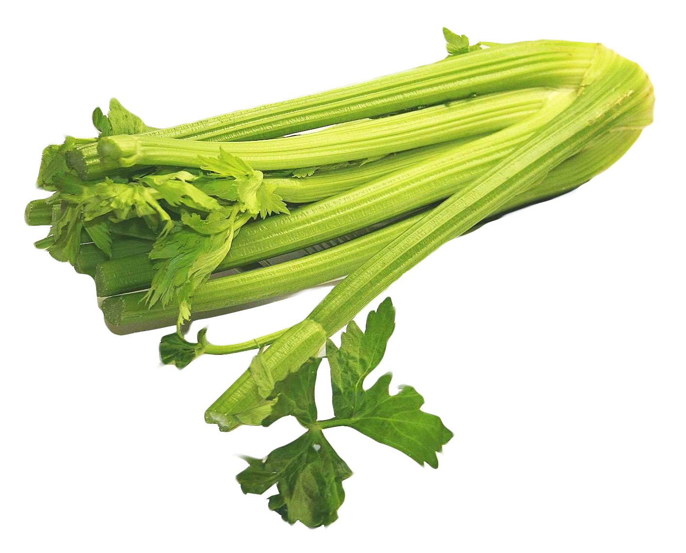 Vegetables celery