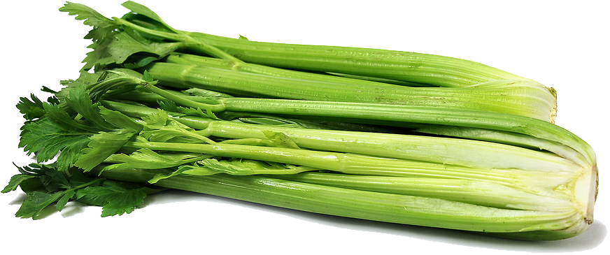 clipart vegetables celery