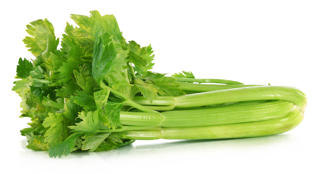 Png images free download. Celery clipart transparent