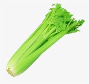Celery clipart transparent. Png image free download