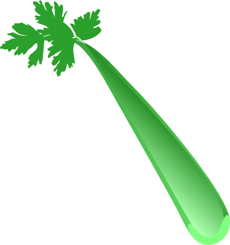 celery clipart vector