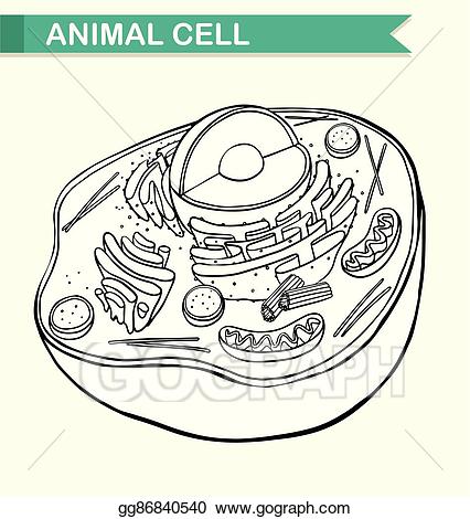 Eps vector diagram showing. Cell clipart animal