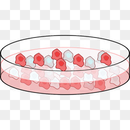 cell clipart cell culture