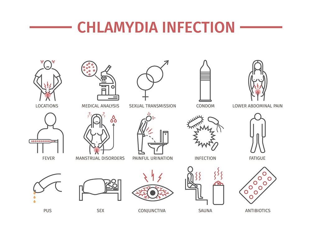 cell clipart chlamydia