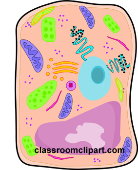 cells clipart clip art