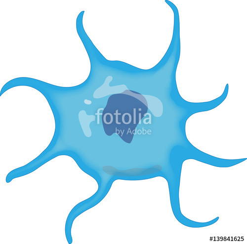 cell clipart dendritic cell