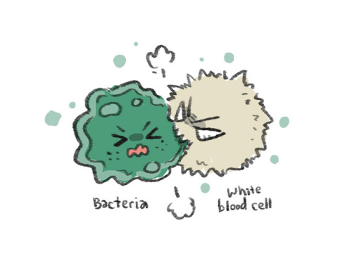 Leukocytes Cartoon