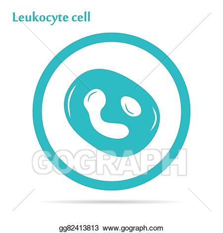 cells clipart leukocyte