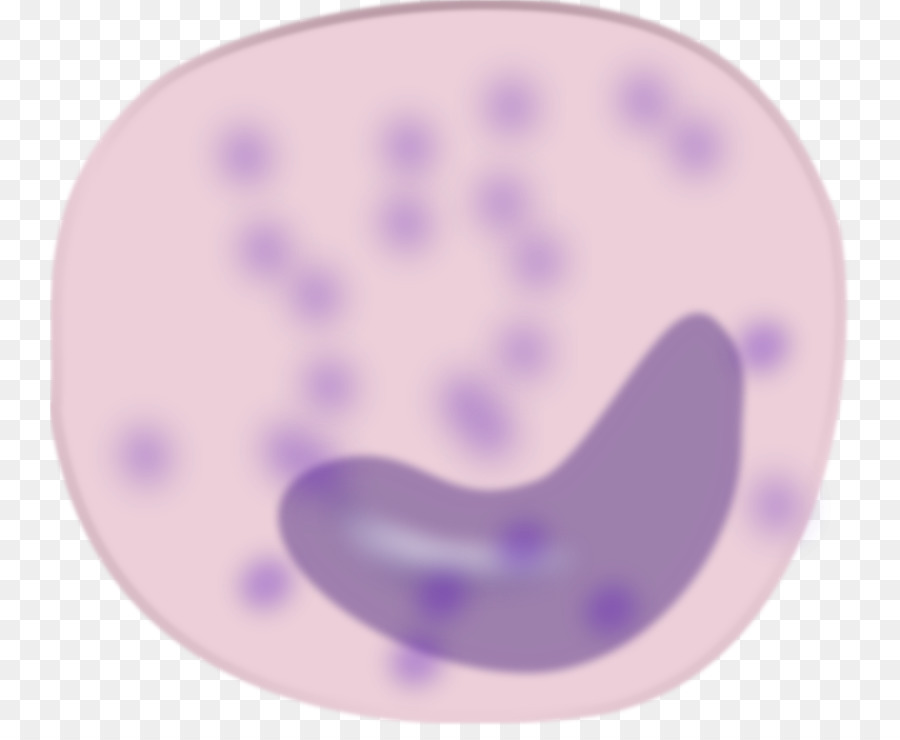 cells clipart macrophage