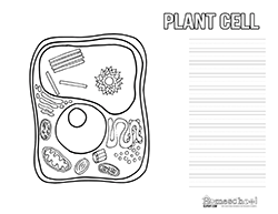 Homeschool notebooking page. Cells clipart plant cell