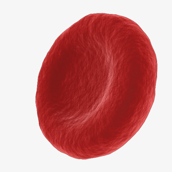 Cell clipart red blood cell. A rbc medical png