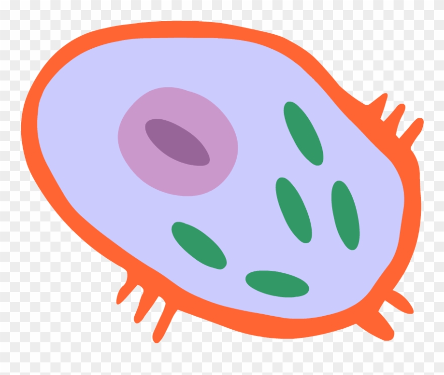 cell clipart science