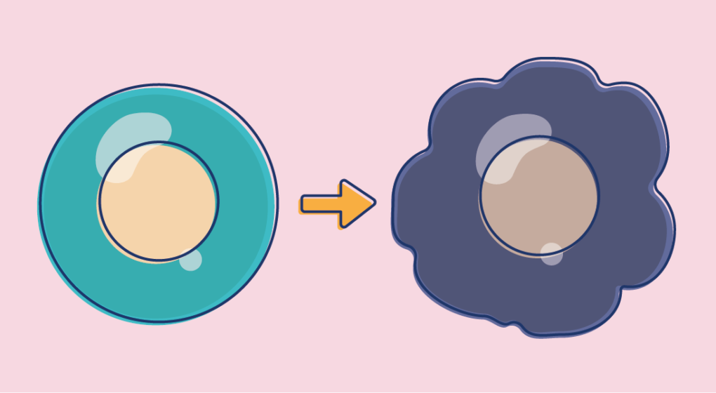 How normal cells become. Cell clipart simple