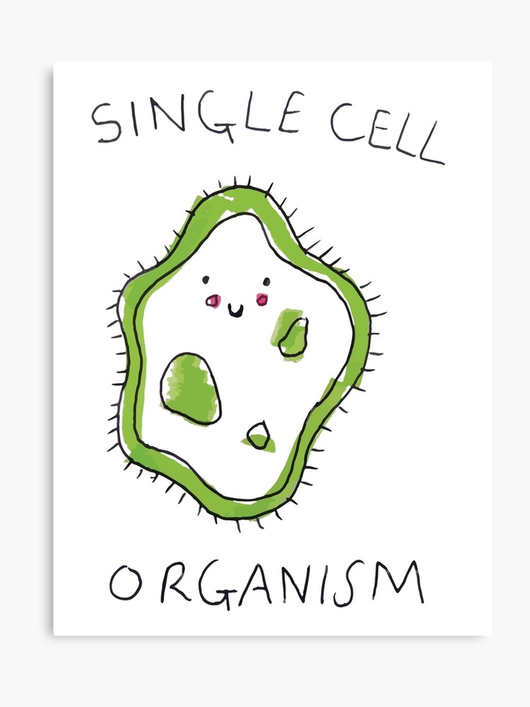 cell clipart single cell