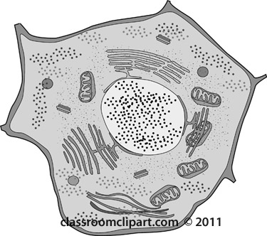 Featured image of post Cells Clipart White Background Download these cell clipart background or photos and you can use them for many purposes such as banner wallpaper poster background as well as powerpoint background and website background