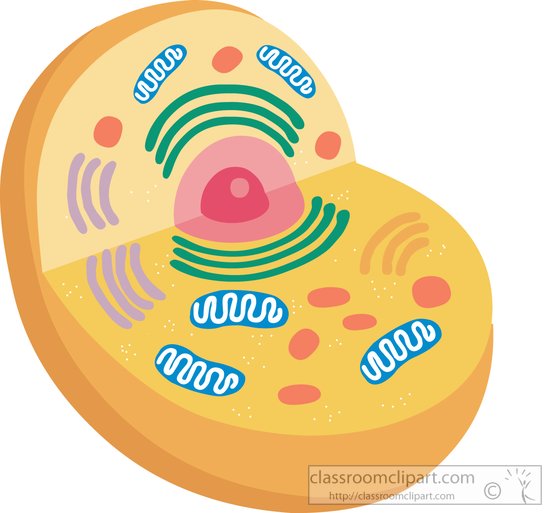 cell clipart transparent background