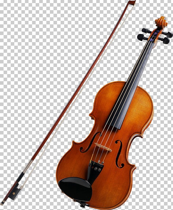 cello clipart stringed instruments