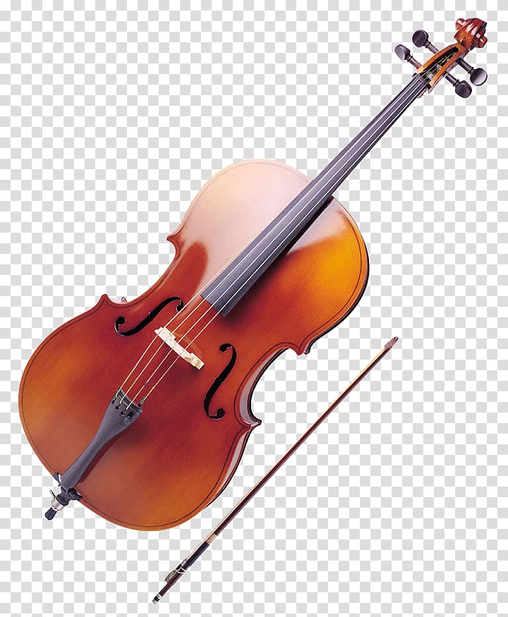 Ukulele musical instrument double. Cello clipart viola
