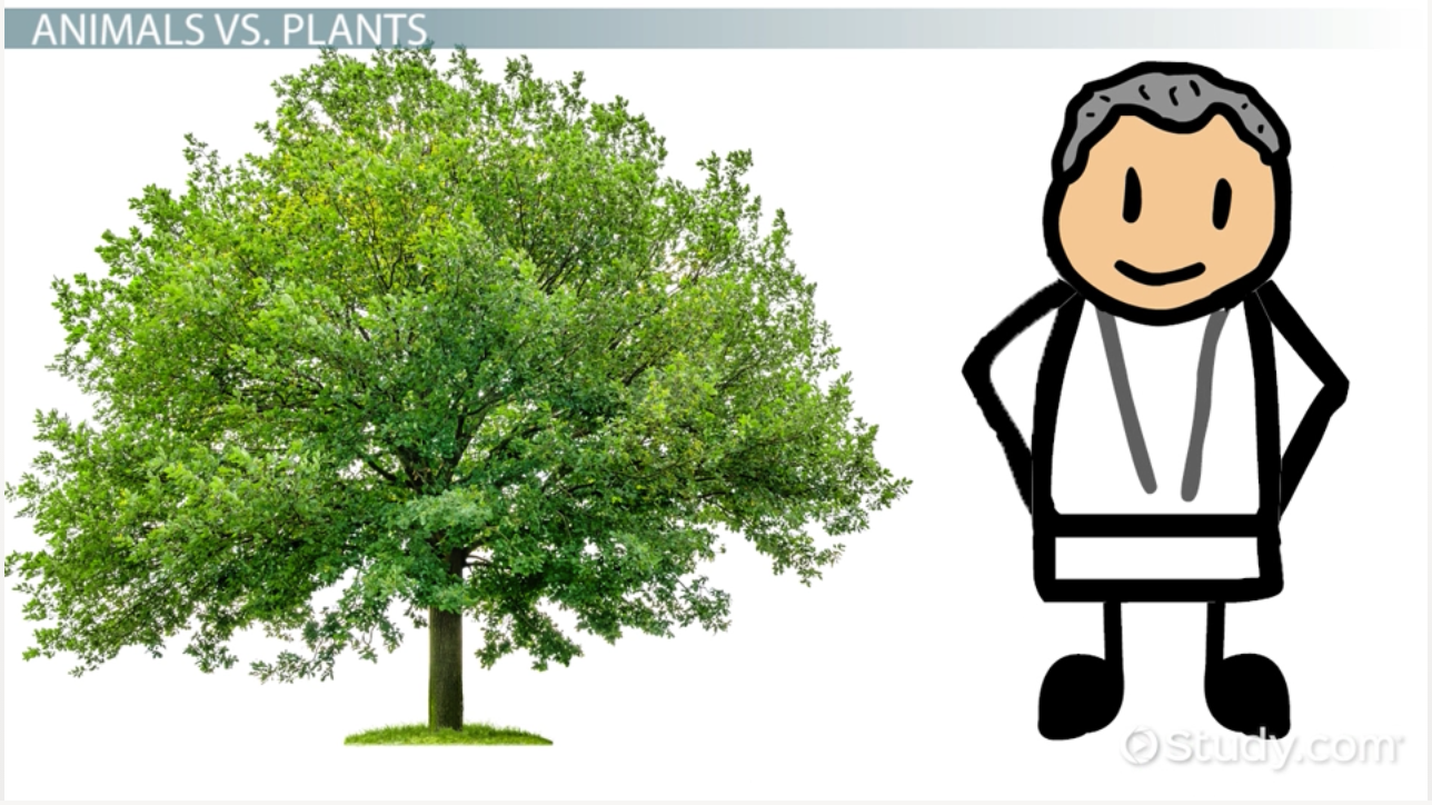 Assignmenteditor find experts assignment. Cells clipart cell theory
