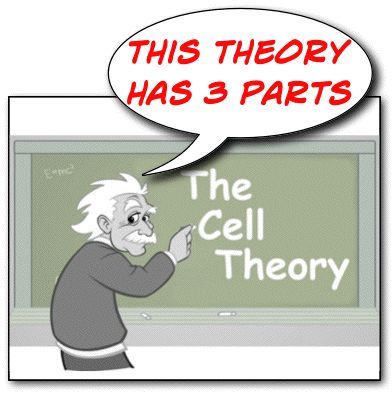Cells clipart cell theory. The pinterest school and