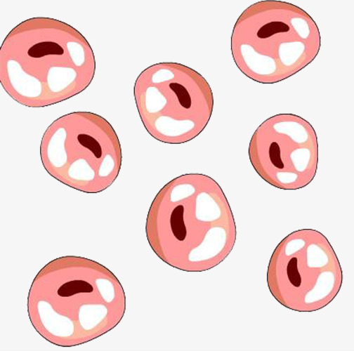 Cells clipart cute. Pink medical cell graphics