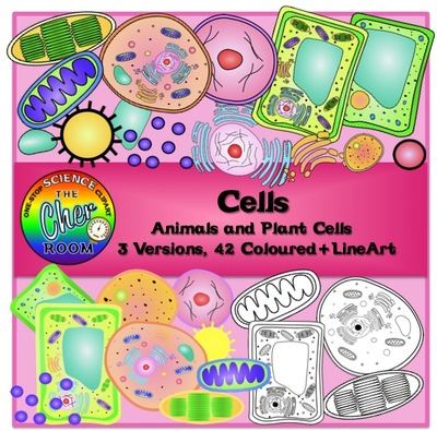 Plants and animals . Cells clipart cute
