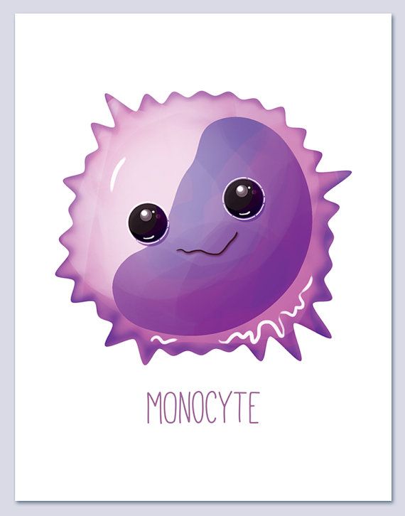 Cells clipart cute. Monocyte white blood wall