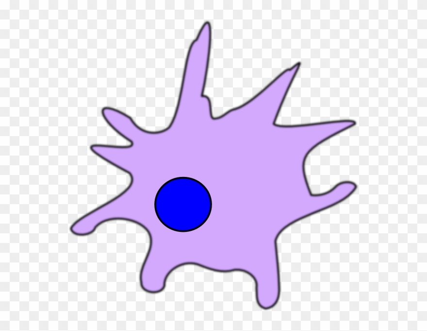 cells clipart dendritic cell