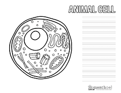 cells clipart printable