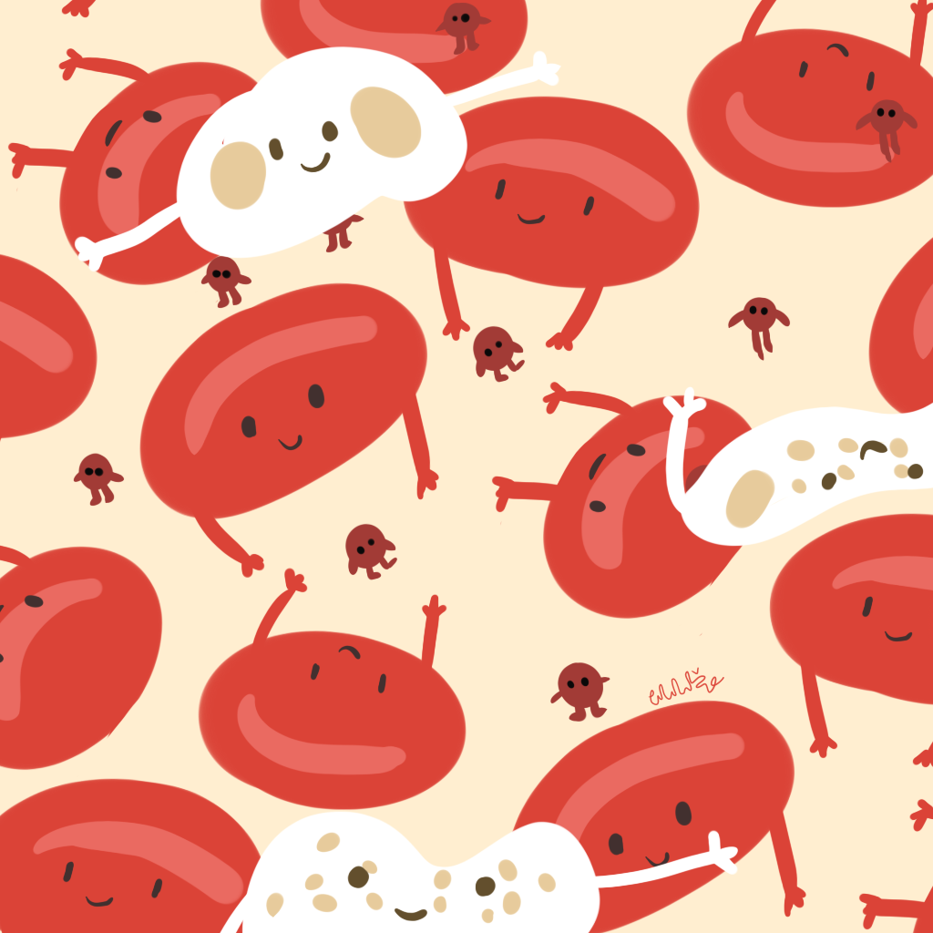 cells clipart red blood cell