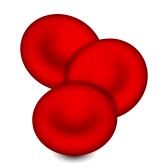 Cell clipart red blood cell. Cells download