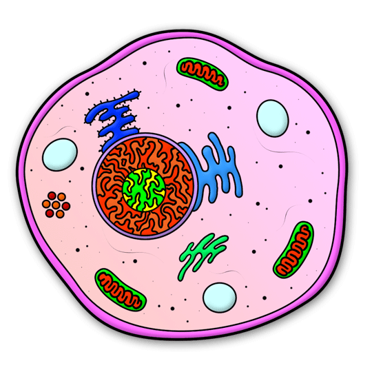 cells clipart simple