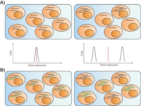Figure analysis reveals heterogeneity. Cells clipart single cell