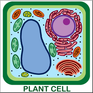 cell clipart unlabeled