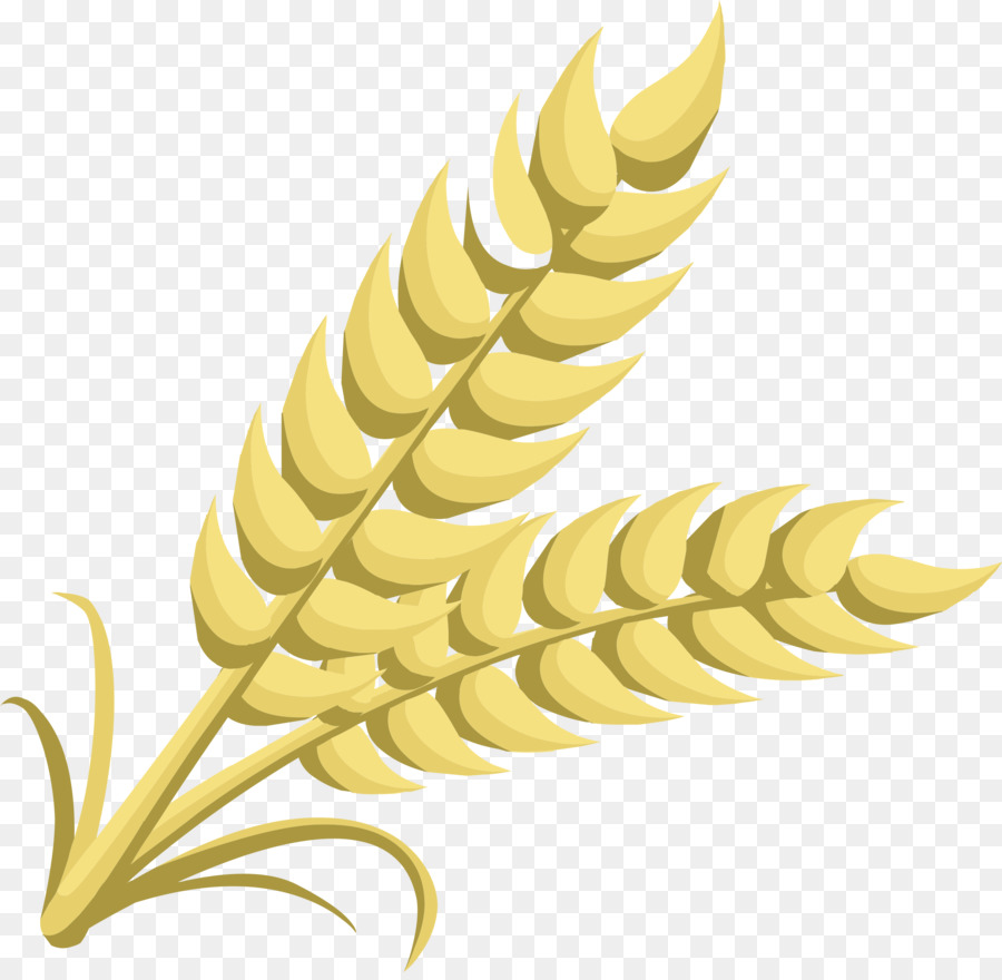 grains clipart yellow wheat