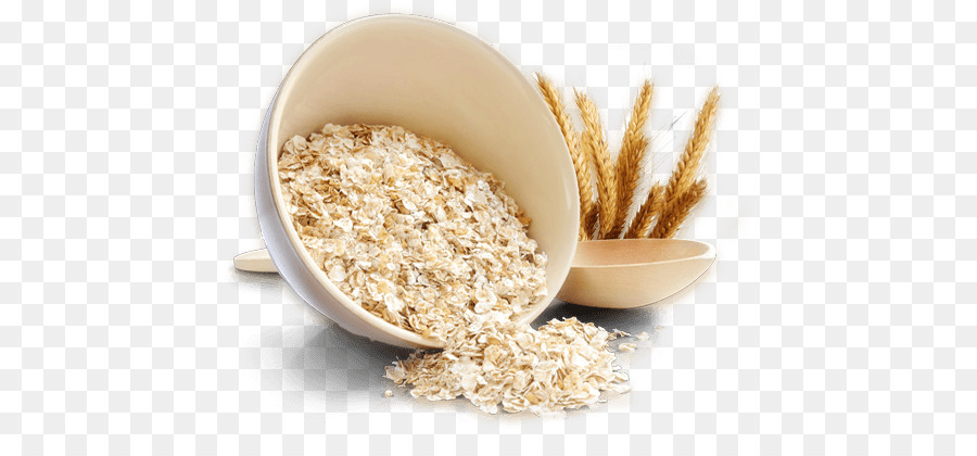 oatmeal clipart grain