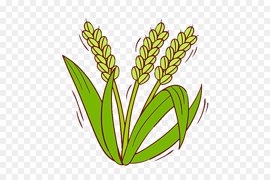 cereal clipart rice plant