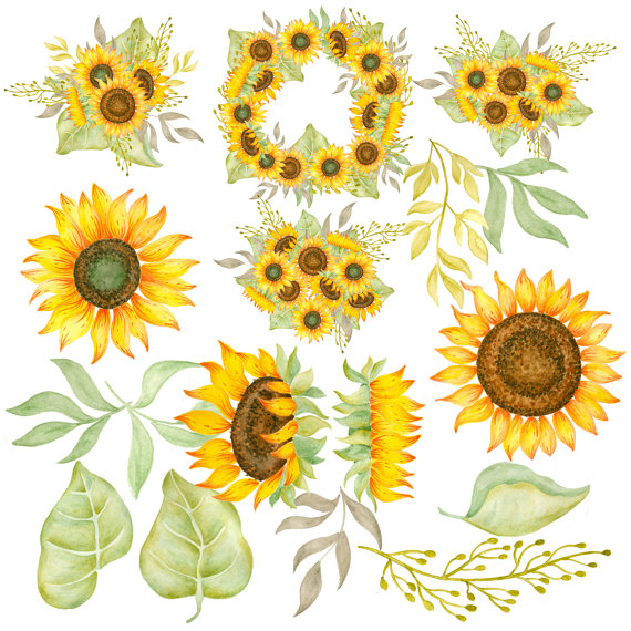 Chain clipart sunflower, Chain sunflower Transparent FREE for download ...