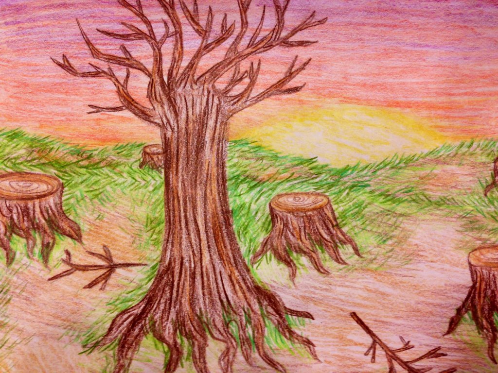 Drawing at getdrawings com. Chainsaw clipart deforestation