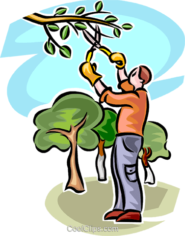 chainsaw clipart tree trimming